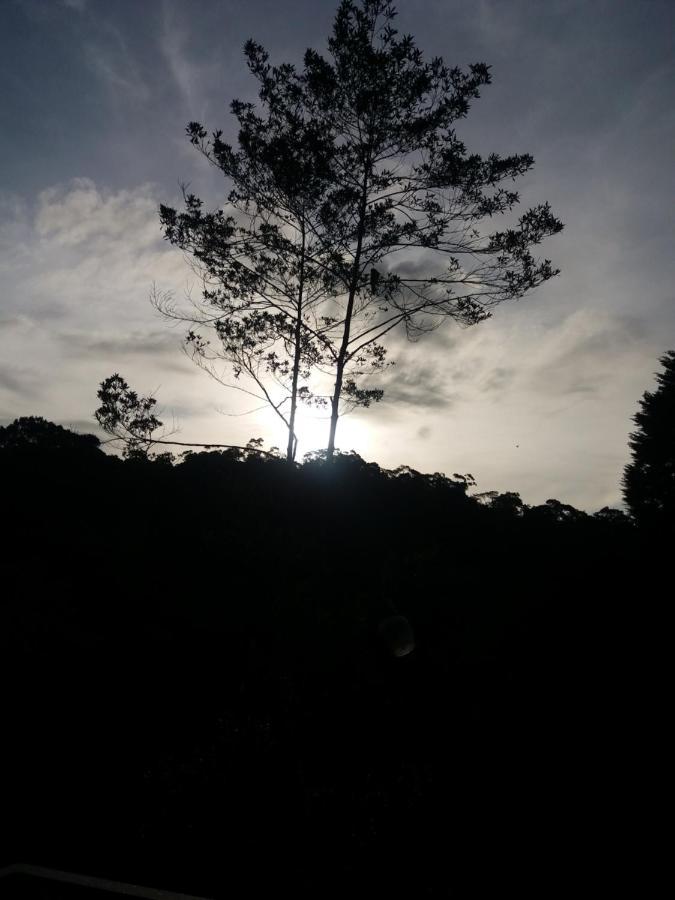 Quinta los volcanes Turrialba Exterior foto