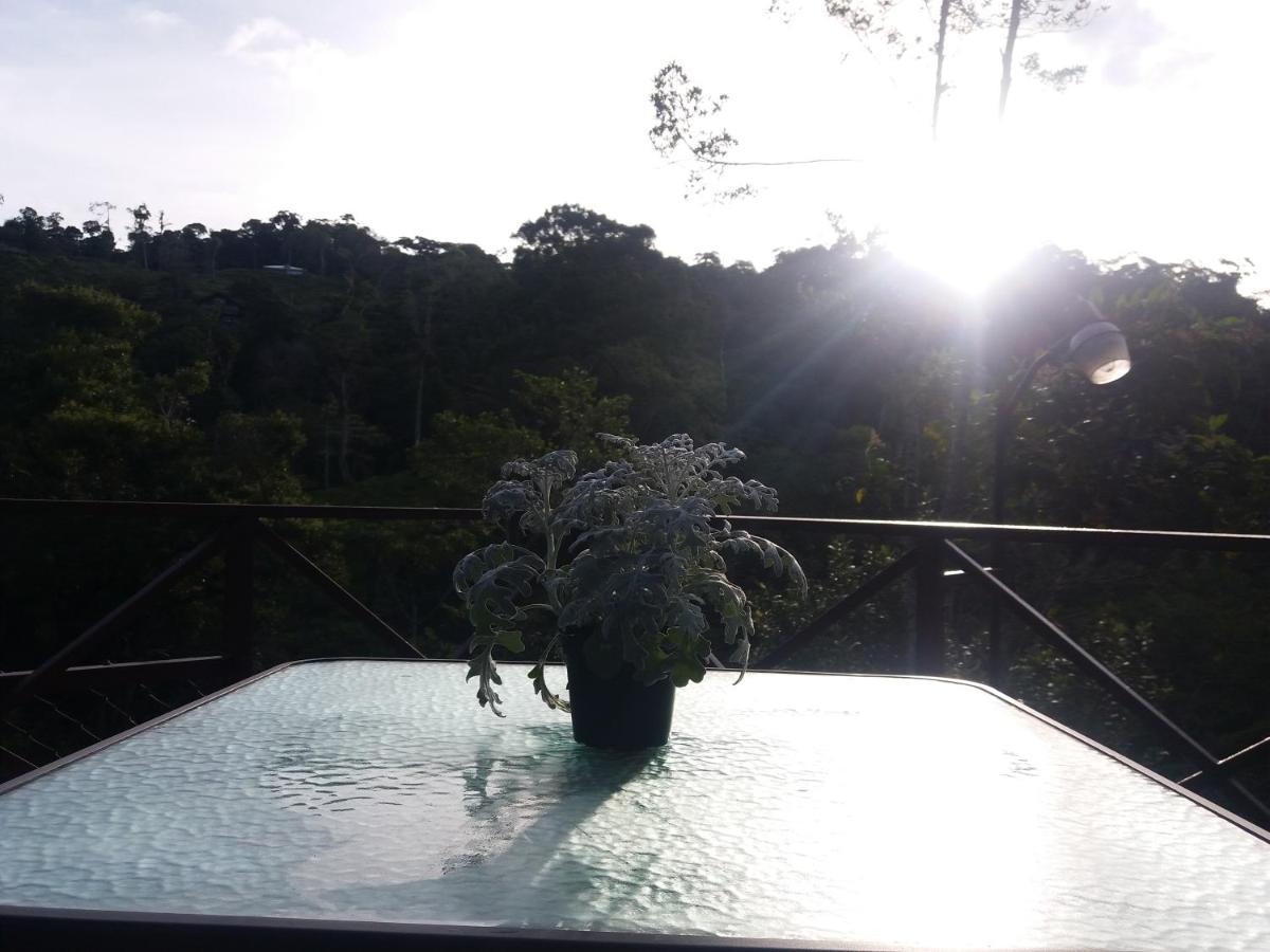Quinta los volcanes Turrialba Exterior foto