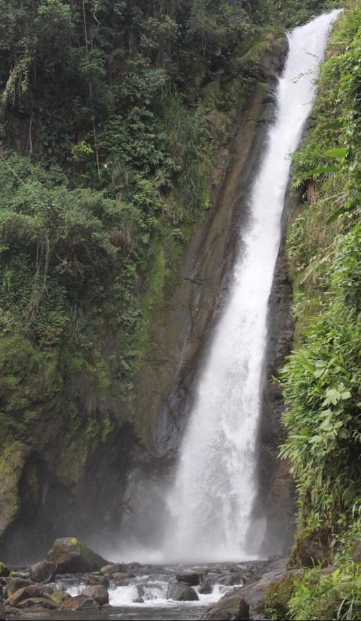 Quinta los volcanes Turrialba Exterior foto
