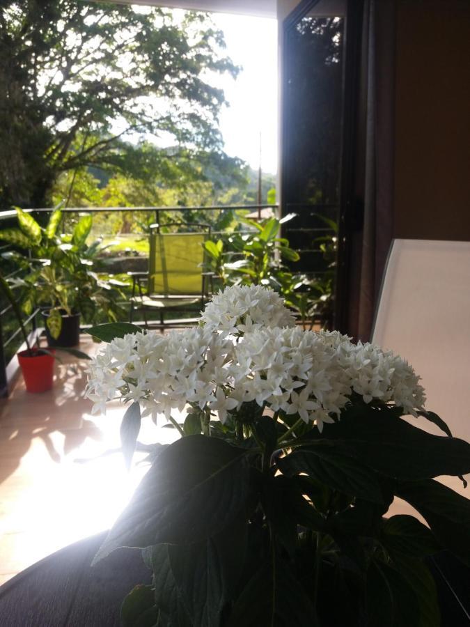 Quinta los volcanes Turrialba Exterior foto