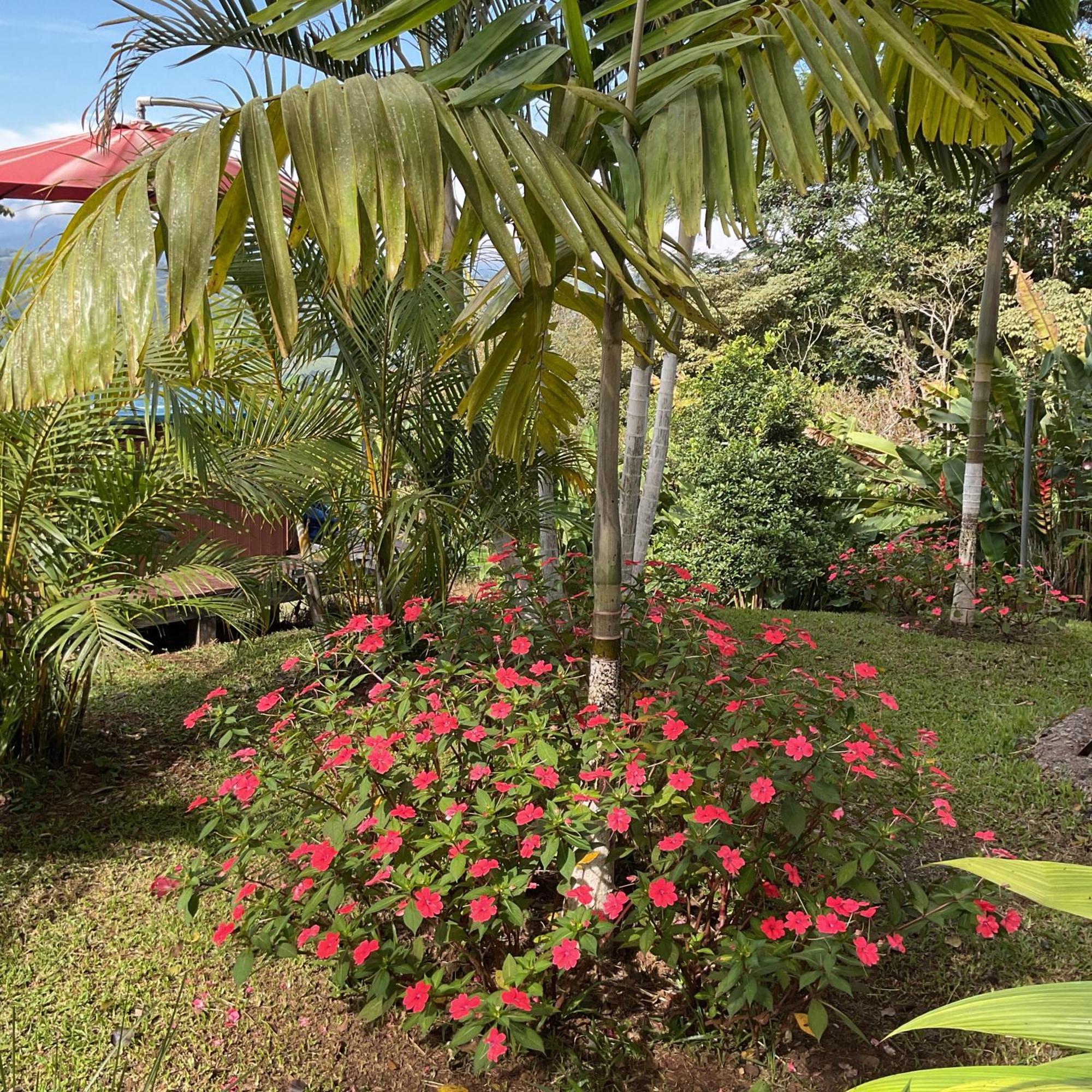 Quinta los volcanes Turrialba Exterior foto