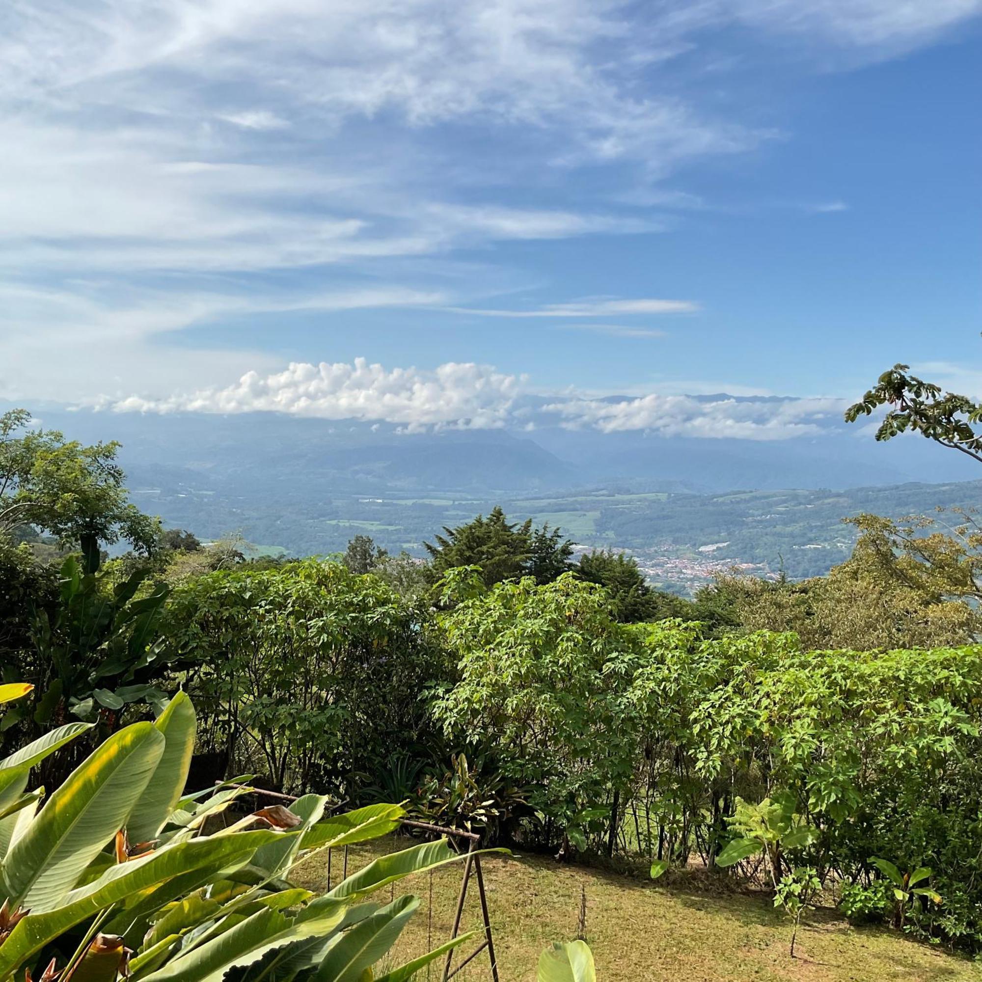 Quinta los volcanes Turrialba Exterior foto