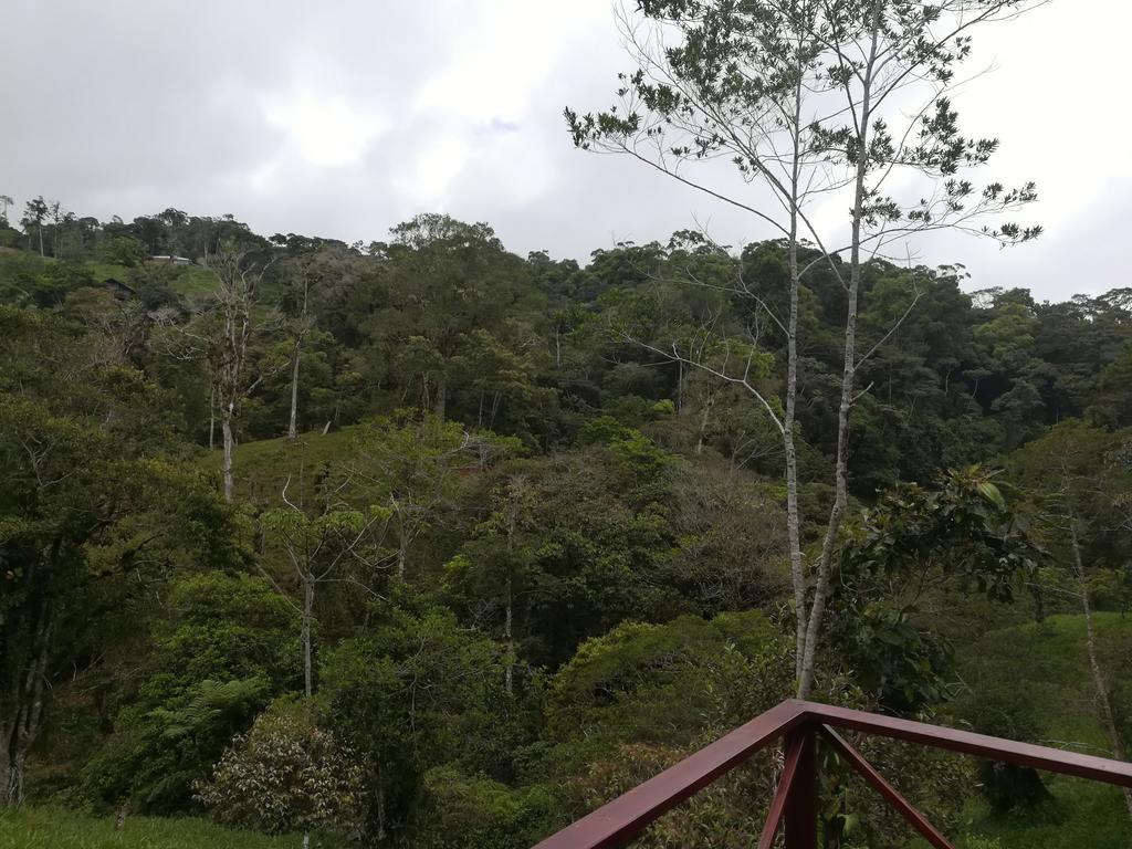 Quinta los volcanes Turrialba Exterior foto